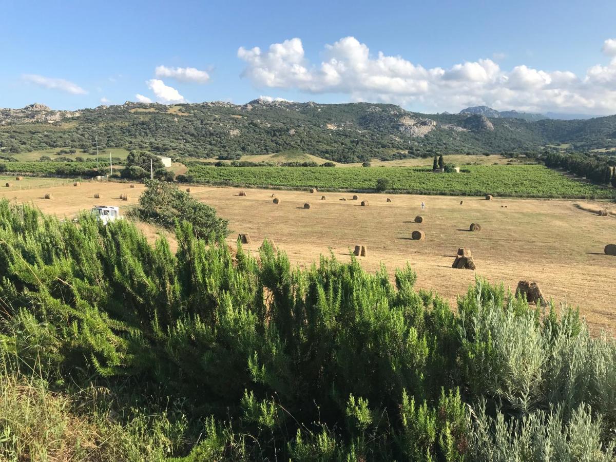 San Leonardo Country House Calangianus Εξωτερικό φωτογραφία