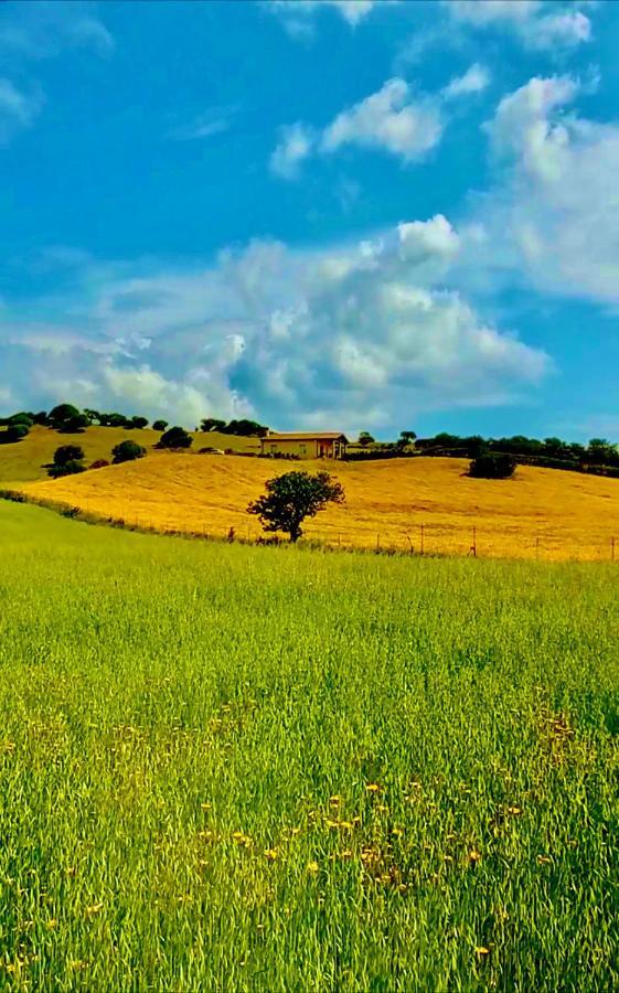 San Leonardo Country House Calangianus Εξωτερικό φωτογραφία