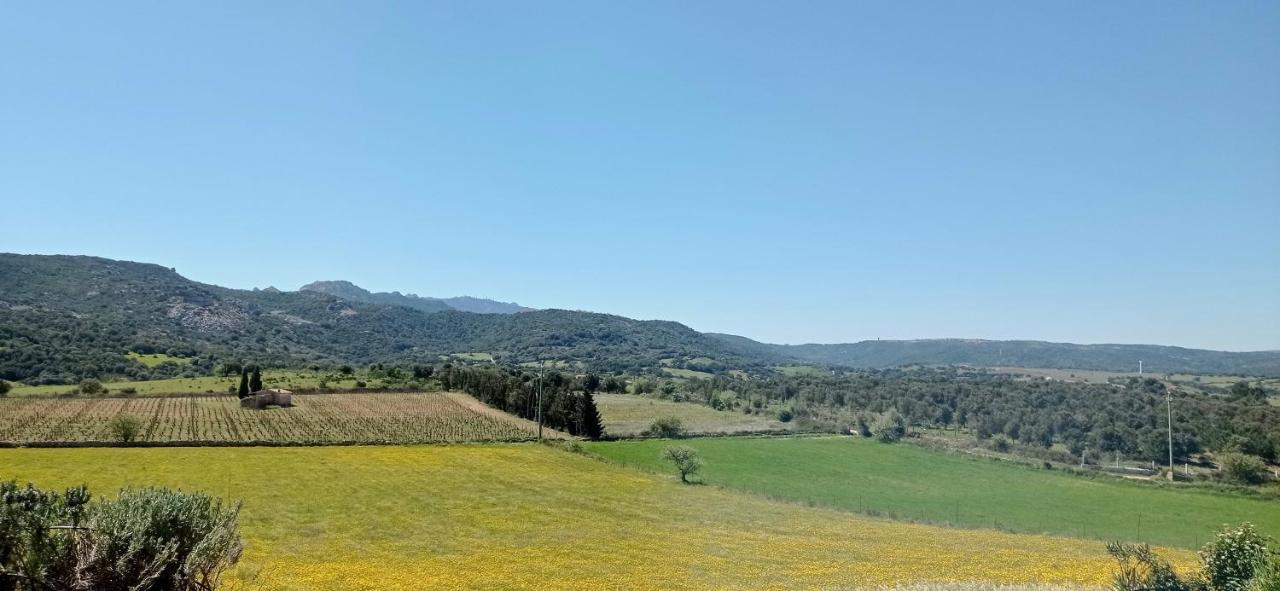 San Leonardo Country House Calangianus Εξωτερικό φωτογραφία